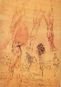 LEONARDO da Vinci Muscles and bone of leg and Hufte oil on canvas